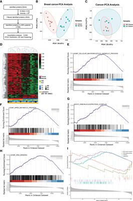 Comprehensive proteome, phosphoproteome and kinome characterization of luminal A breast cancer